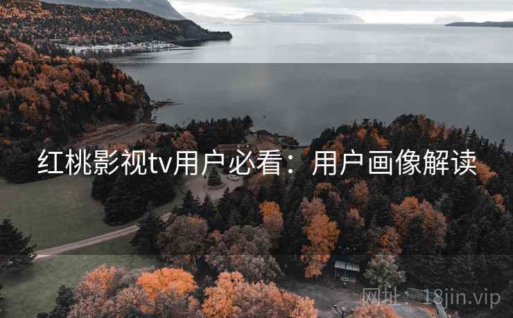 红桃影视tv用户必看:用户画像解读