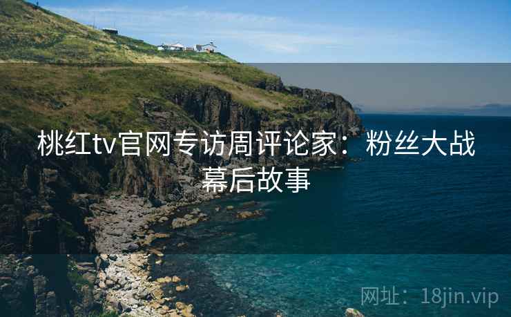 桃红tv官网专访周评论家:粉丝大战幕后故事