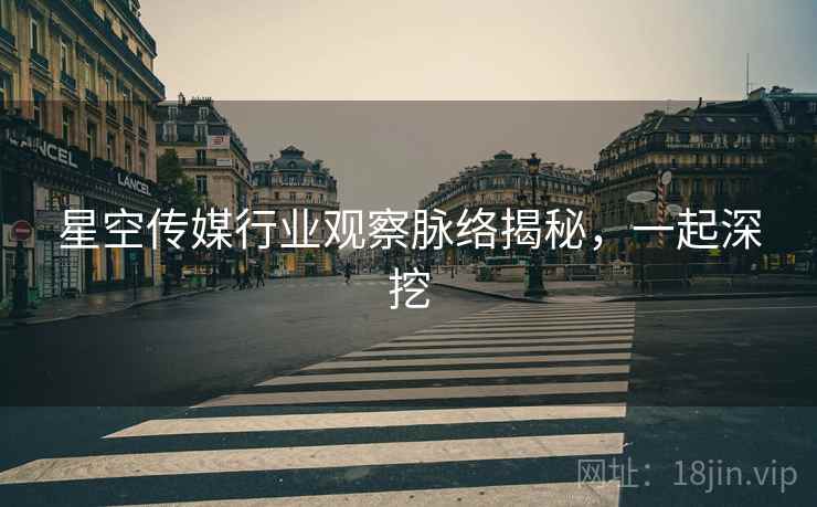 星空传媒行业观察脉络揭秘,一起深挖